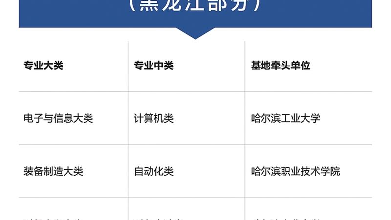 叉车证与挖掘机证：含金量对比解析